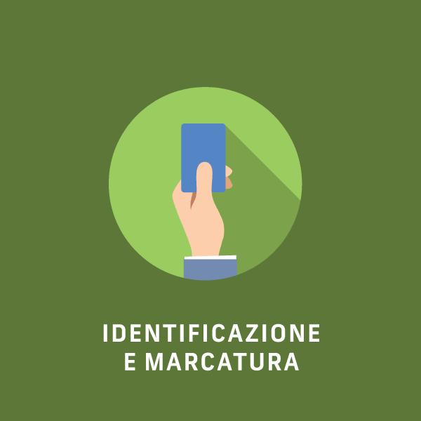 Identificazione e Marcatura